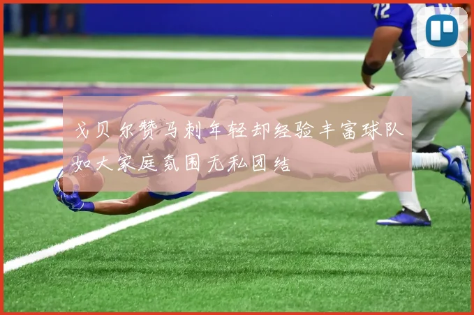 戈贝尔赞马刺年轻却经验丰富球队如大家庭氛围无私团结